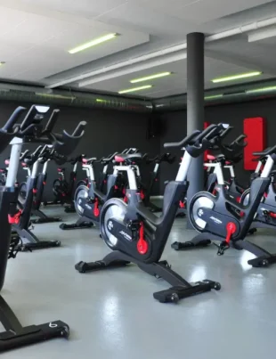 Affordable Exercise Bikes