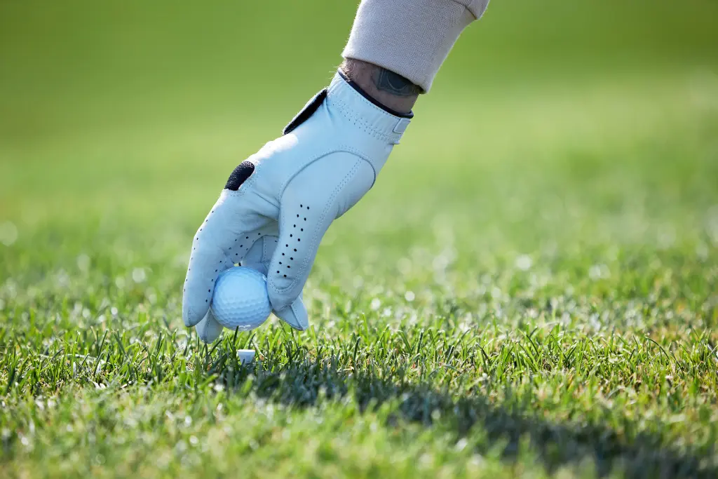 Best Budget Golf Gloves with all Features, Performance, and Reviews ...