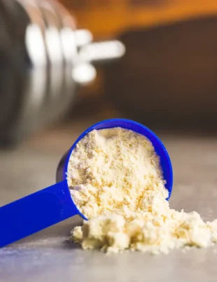 Protein Powder