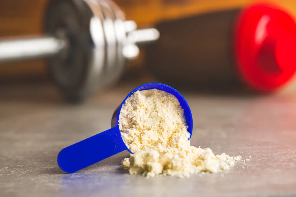 Protein Powder